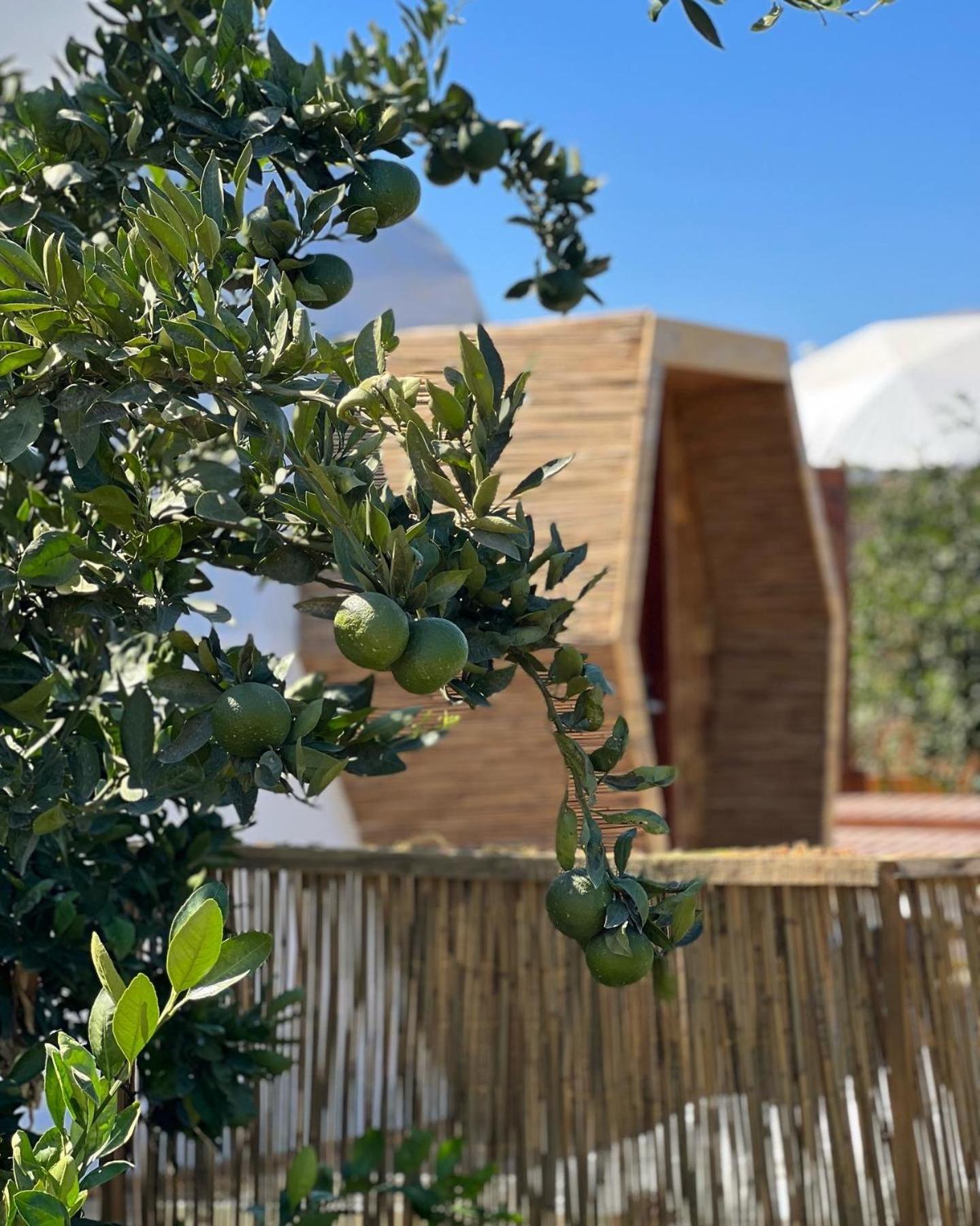 Mandalin Glamping Hotel Selçuk Kültér fotó