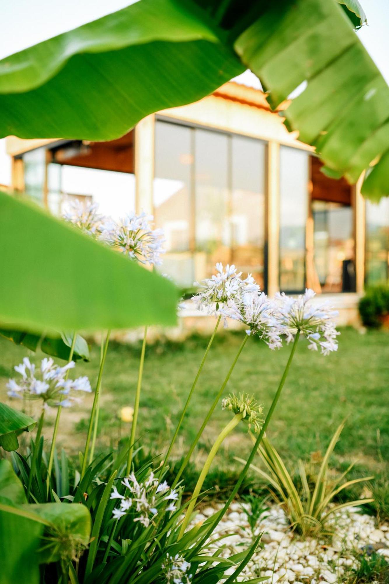 Mandalin Glamping Hotel Selçuk Kültér fotó